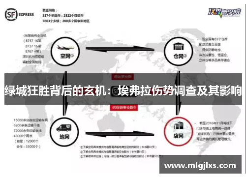 绿城狂胜背后的玄机：埃弗拉伤势调查及其影响