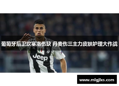 葡萄牙后卫坎塞洛伤缺 丹麦伤三主力皮肤护理大作战