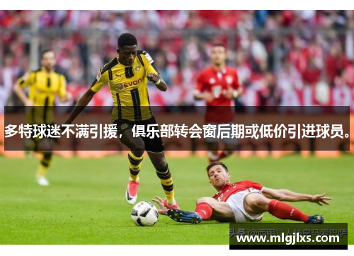 多特球迷不满引援，俱乐部转会窗后期或低价引进球员。